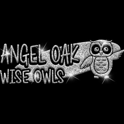 GLT100 SILVER GLITTER Thumbnail