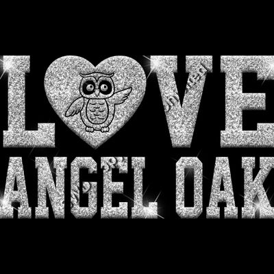 GLT51 SILVER GLITTER Thumbnail